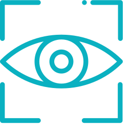vision